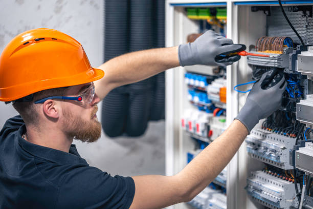 Best Electric Panel Repair  in Delta, OH